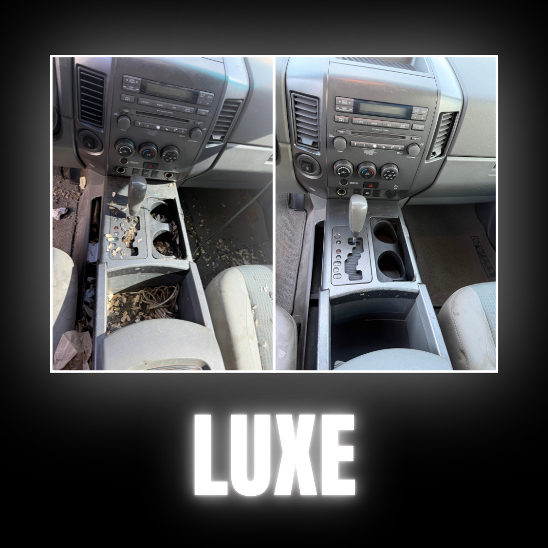 Luxe Interior Detail