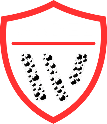 WADEL Auto Detailing